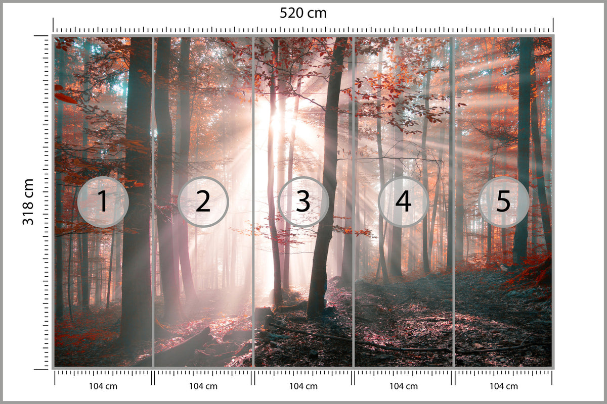 Fototapeta Las Barwy Jesieni 520 × 318 cm – podgląd kadru