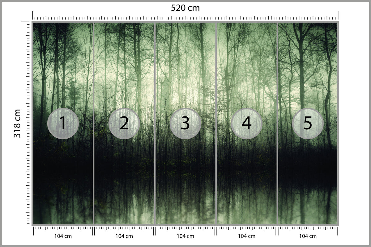 Fototapeta Las Drzewa Woda 520 × 318 cm – podgląd kadru