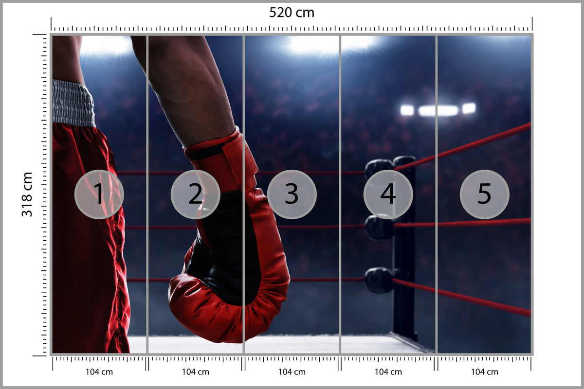 Fototapeta Bokser W Ringu 520 × 318 cm – podgląd kadru