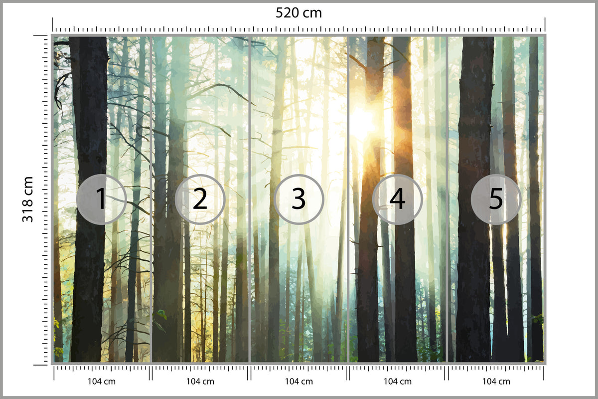 Fototapeta Las We Mgle Sosny Pod Słońce 520 × 318 cm – podgląd kadru