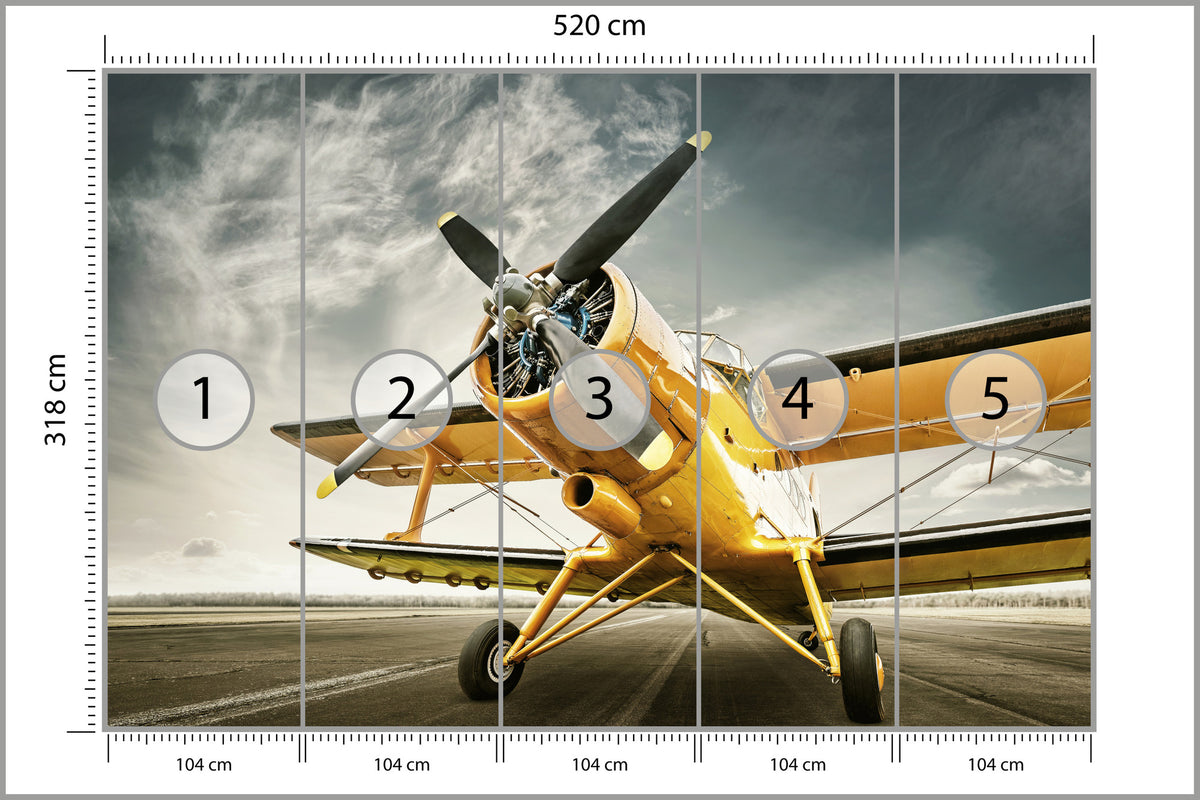 Fototapeta Zabytkowy Samolot 520 × 318 cm – podgląd kadru