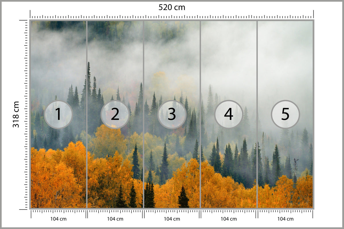 Fototapeta Mgła Nad Jesiennym Lasem 520 × 318 cm – podgląd kadru