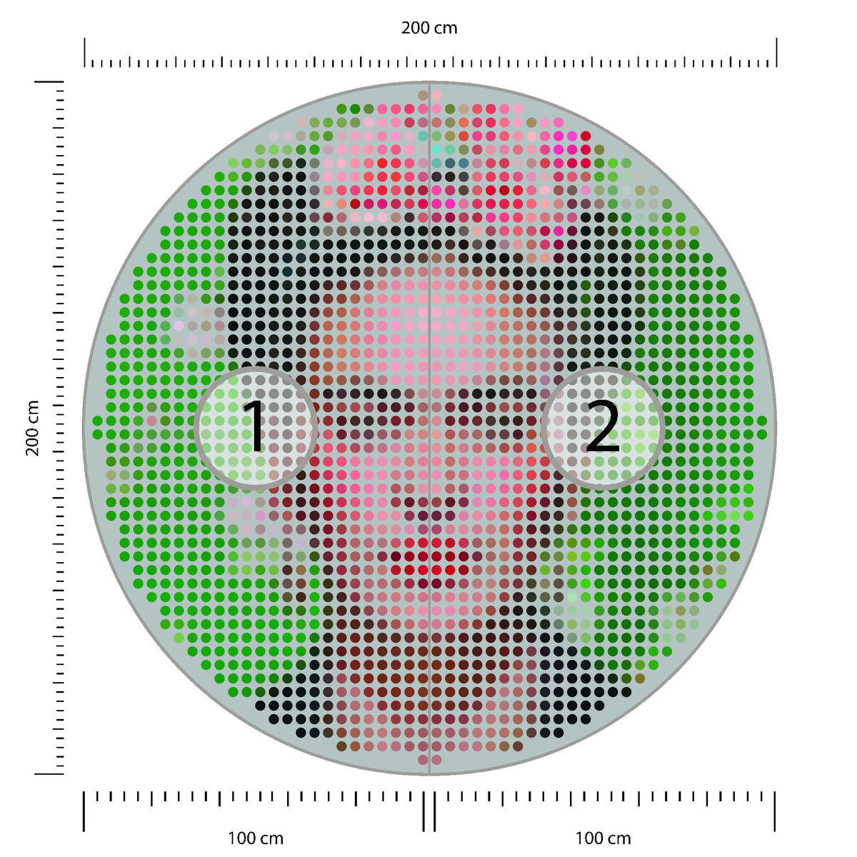 Fototapeta Okrągła Ikona Frida średnica 200 cm – podgląd