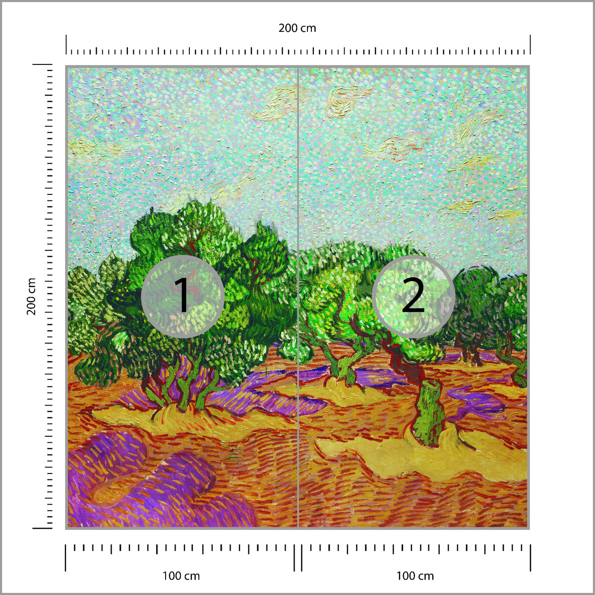Fototapeta Kwadratowa Drzewa Oliwne 200 × 200 cm – podgląd