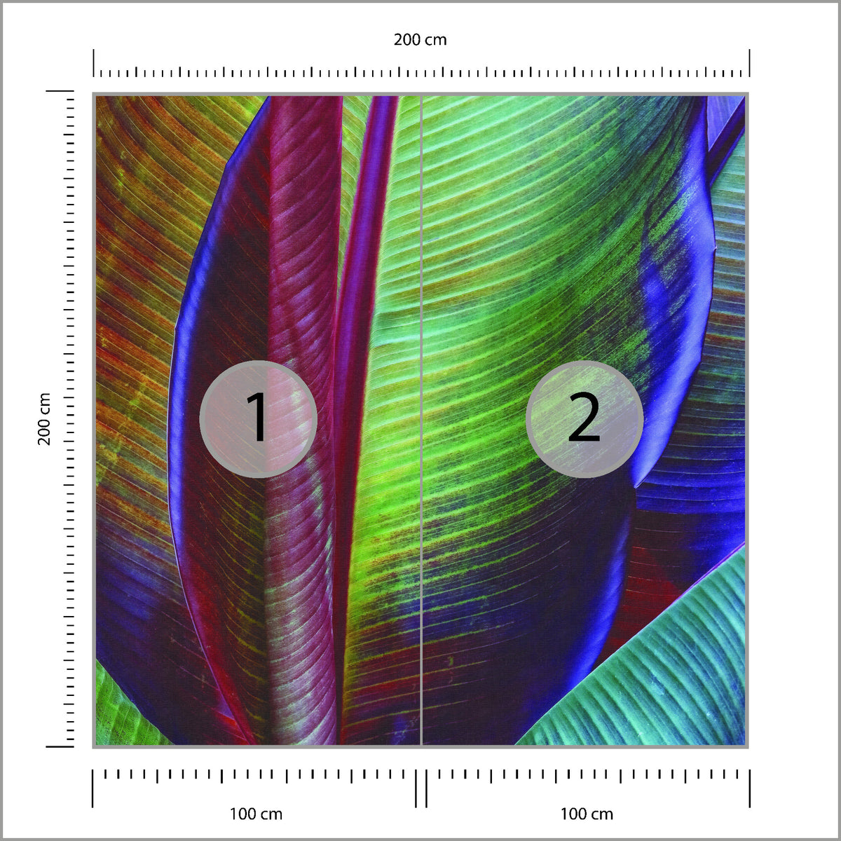 Fototapeta Kwadratowa Liść Bananowca François Casanova 200 × 200 cm – podgląd