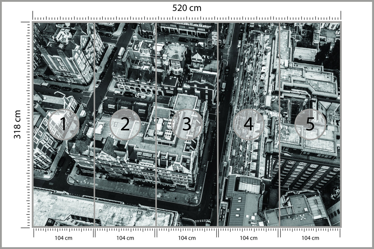 Fototapeta Londyn Czarno-Biały Z Lotu Ptaka 520 × 318 cm – podgląd kadru