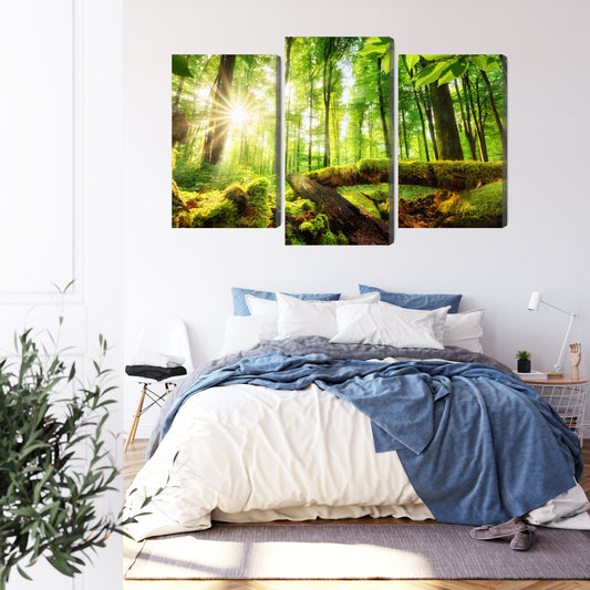 Obraz Wieloczęściowy Słońce w Lesie – ciepła panorama natury do wnętrz naturalnych i boho – widok 2