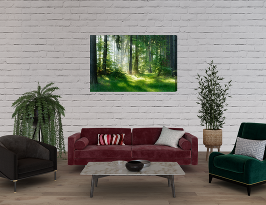 obraz na płótnie las