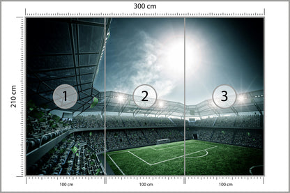 Fototapeta Stadion Piłka Nożna Nocą 300 × 210 cm – podgląd kadru