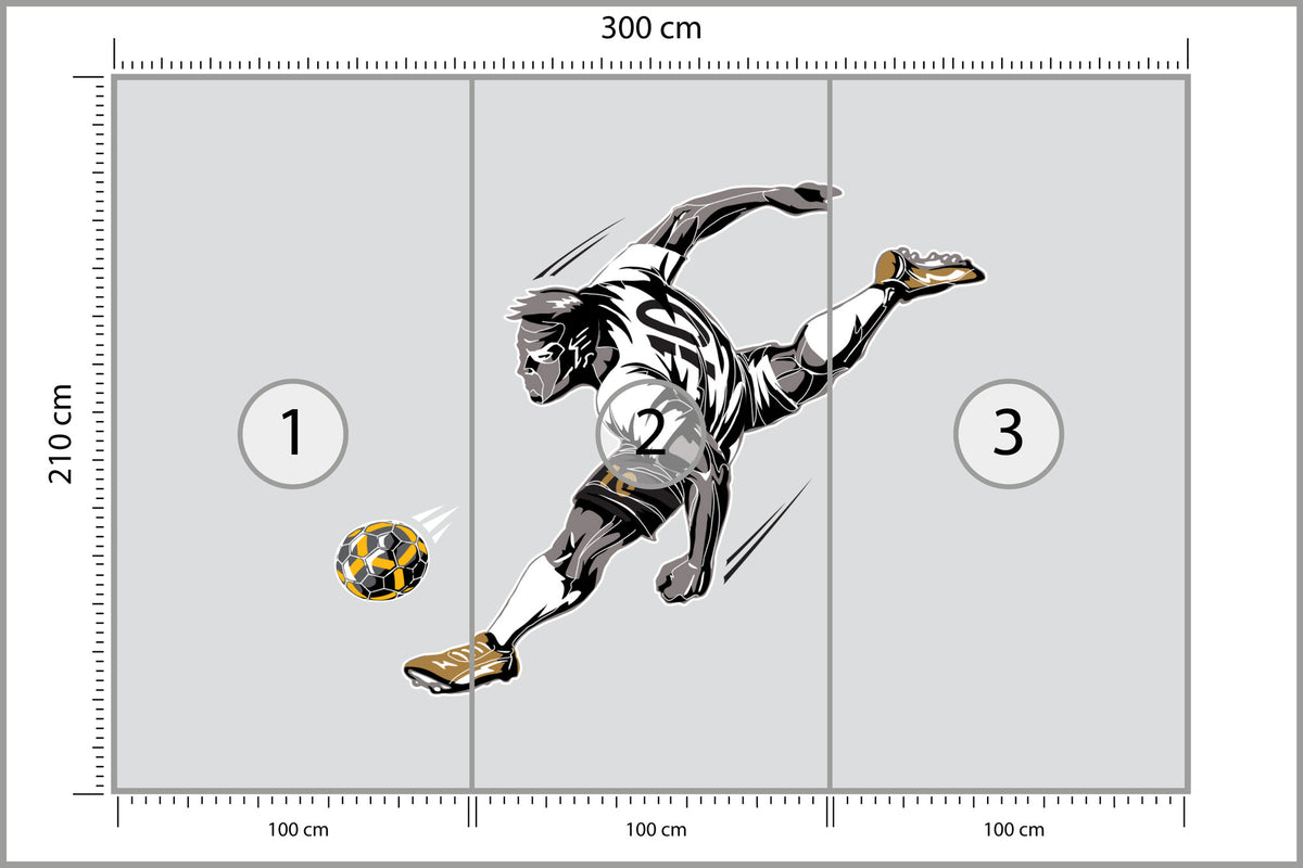 Fototapeta Piłkarz Podczas Gry 300 × 210 cm – podgląd kadru