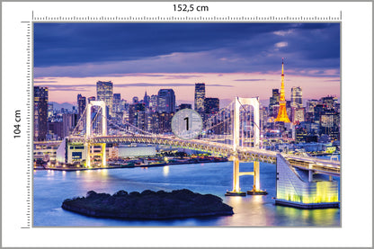 Fototapeta Tęczowy Most W Tokio 152,5 × 104 cm – podgląd kadru