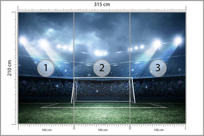 Fototapeta Stadion Piłkarski Boisko 315 × 210 cm – podgląd kadru
