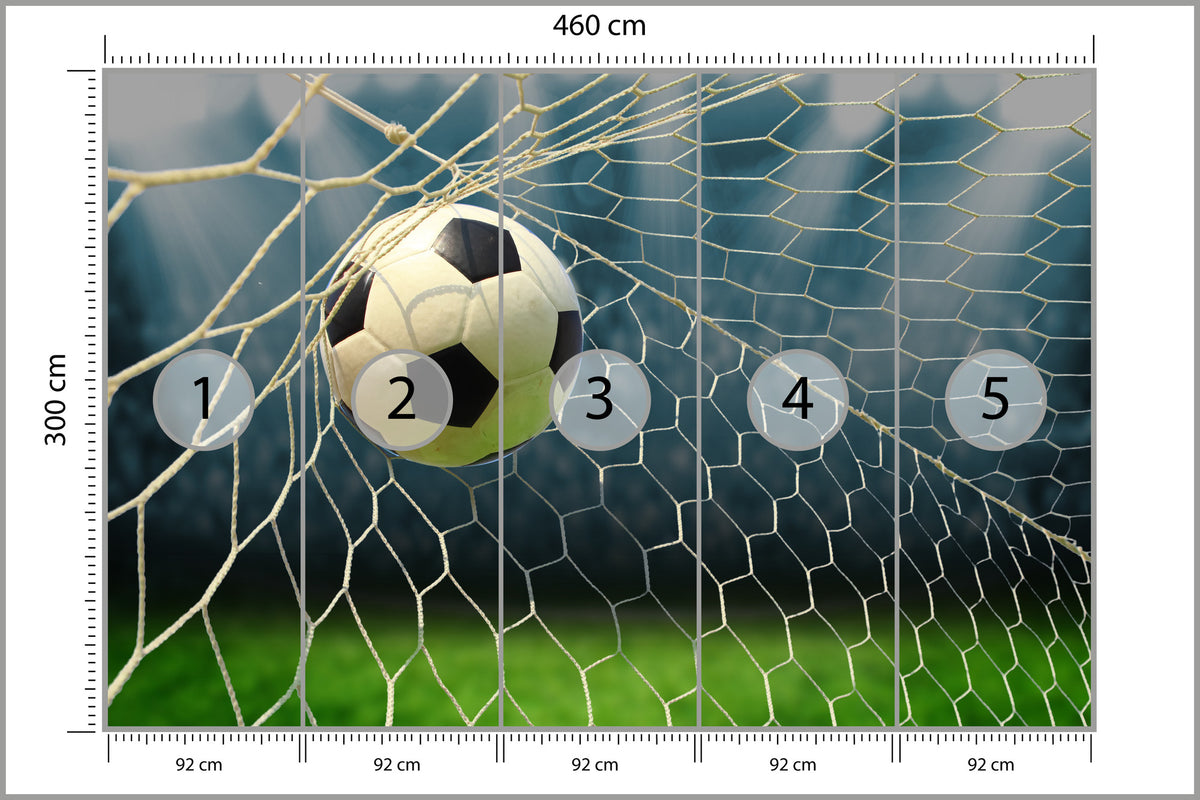 Fototapeta Piłka Nożna, Boisko 460 × 300 cm – podgląd kadru