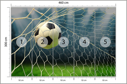 Fototapeta Piłka Nożna, Boisko 460 × 300 cm – podgląd kadru