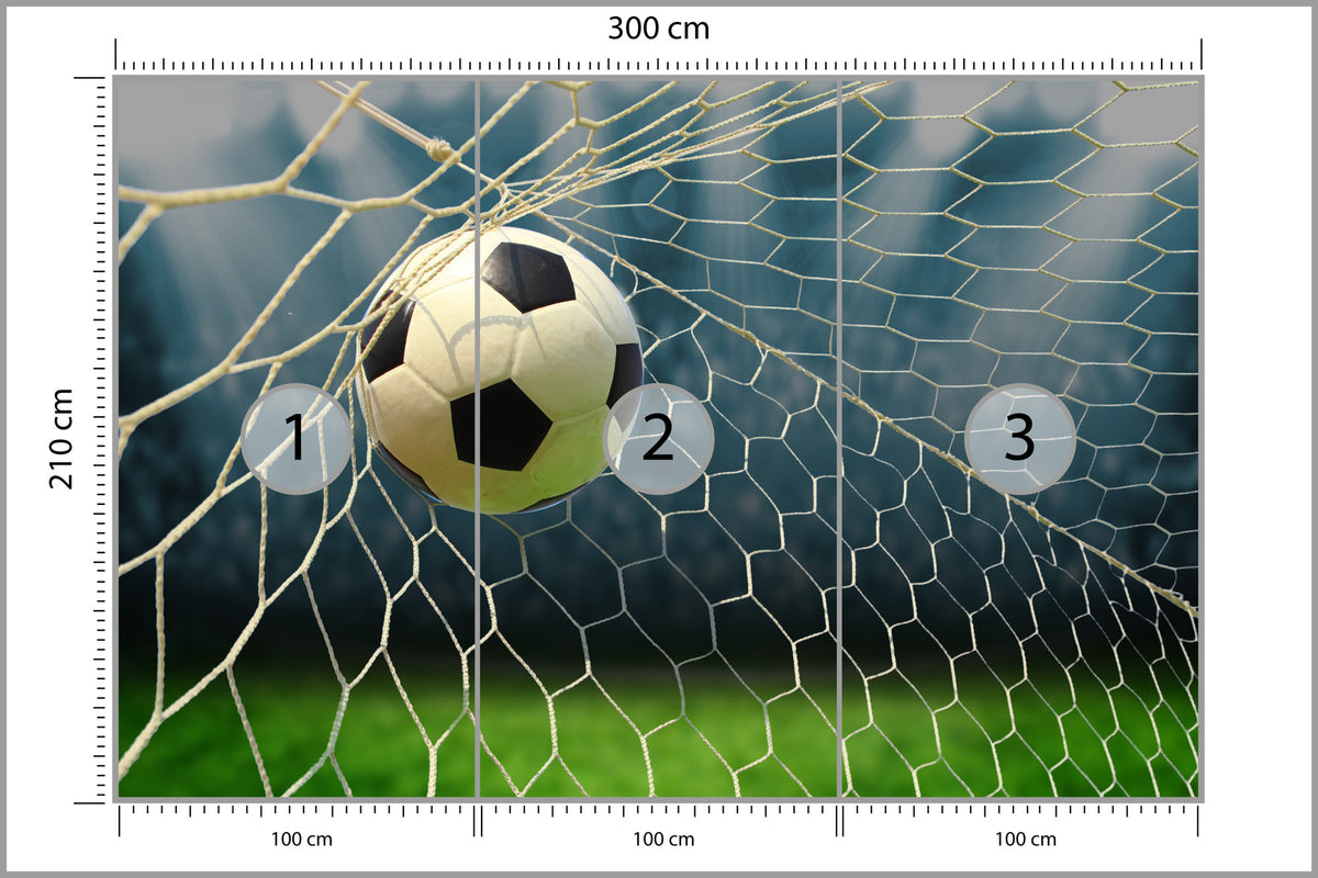 Fototapeta Piłka Nożna, Boisko 300 × 210 cm – podgląd kadru