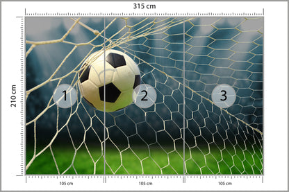 Fototapeta Piłka Nożna, Boisko 315 × 210 cm – podgląd kadru