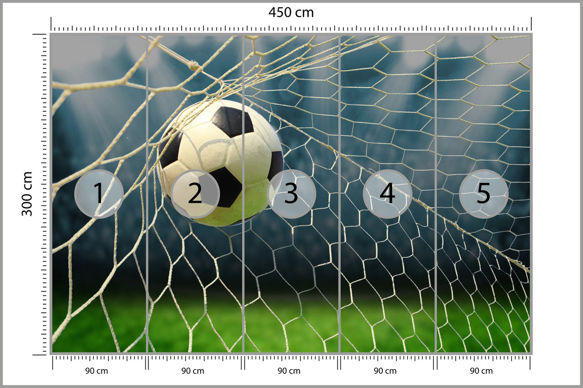 Fototapeta Piłka Nożna, Boisko 450 × 300 cm – podgląd kadru