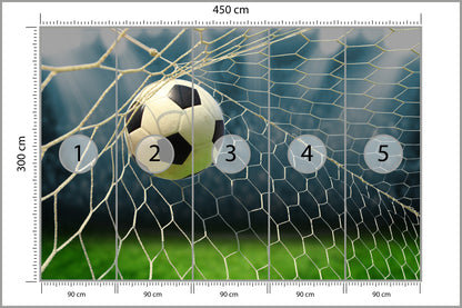 Fototapeta Piłka Nożna, Boisko 450 × 300 cm – podgląd kadru