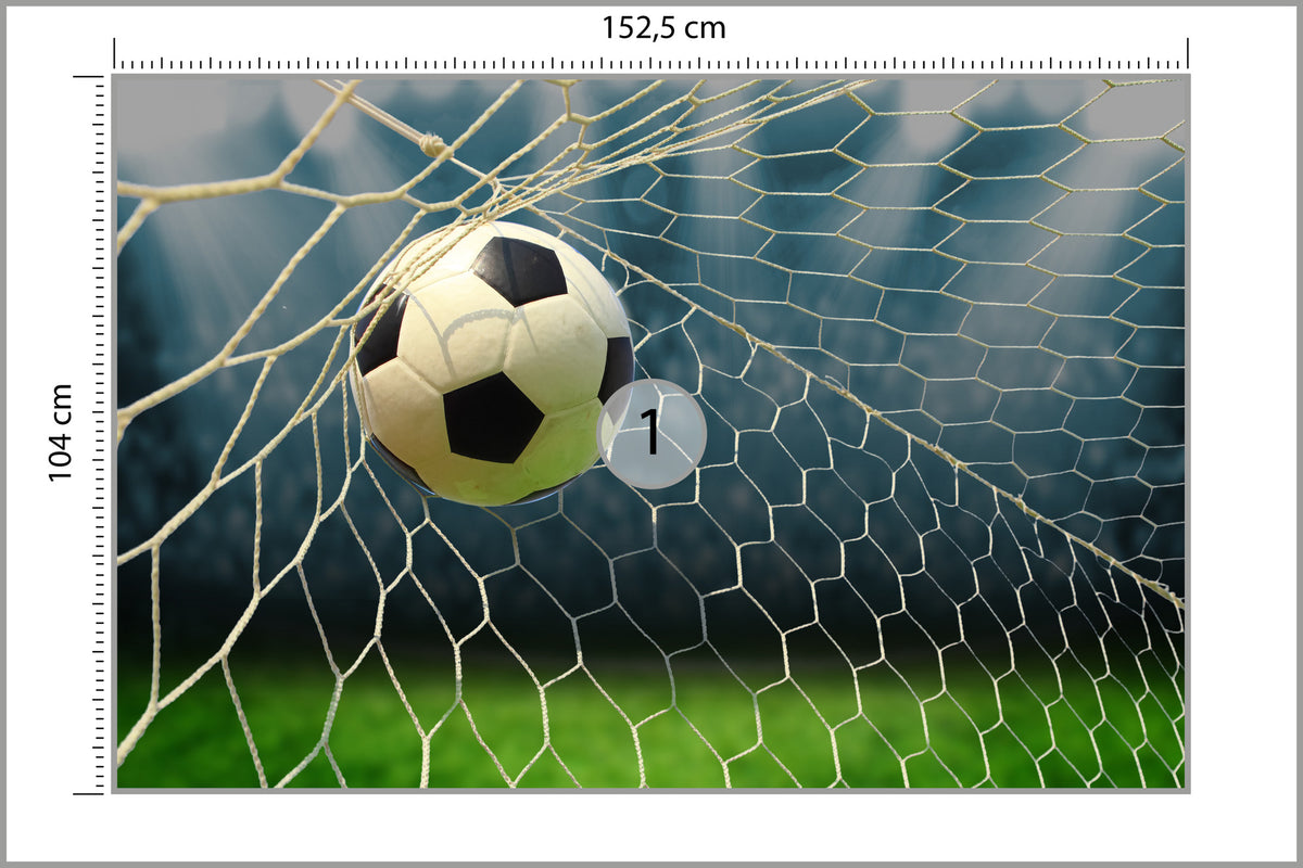 Fototapeta Piłka Nożna, Boisko 152,5 × 104 cm – podgląd kadru