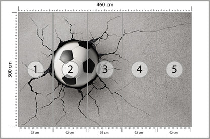 Fototapeta Pokój Młodzieżowy, Piłka 460 × 300 cm – podgląd kadru