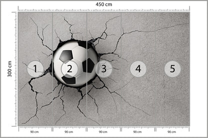 Fototapeta Pokój Młodzieżowy, Piłka 450 × 300 cm – podgląd kadru