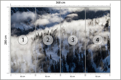Fototapeta Las We Mgle Zimą Z Lotu Ptaka 368 × 280 cm – podgląd kadru