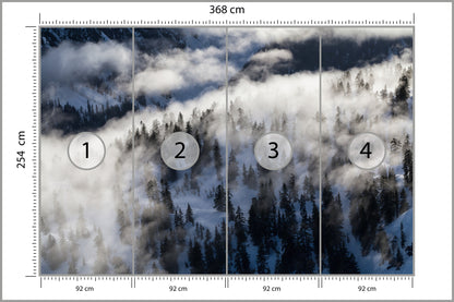 Fototapeta Las We Mgle Zimą Z Lotu Ptaka 368 × 254 cm – podgląd kadru