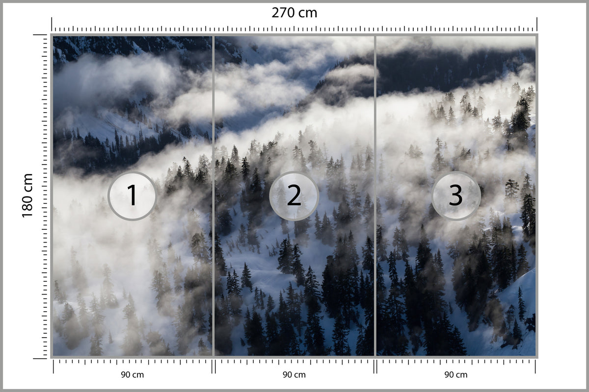 Fototapeta Las We Mgle Zimą Z Lotu Ptaka 270 × 180 cm – podgląd kadru