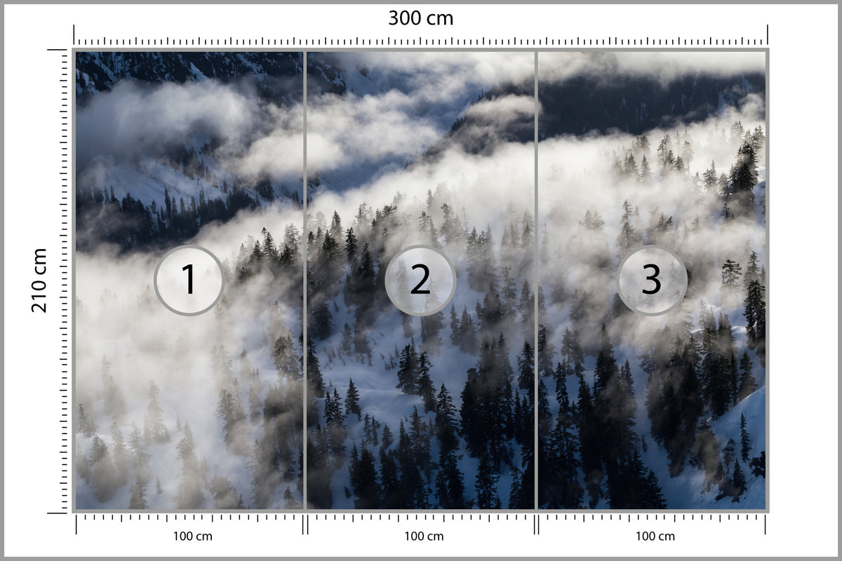 Fototapeta Las We Mgle Zimą Z Lotu Ptaka 300 × 210 cm – podgląd kadru