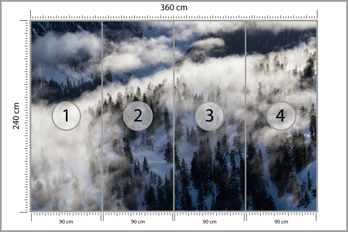 Fototapeta Las We Mgle Zimą Z Lotu Ptaka 360 × 240 cm – podgląd kadru