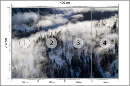 Fototapeta Las We Mgle Zimą Z Lotu Ptaka 400 × 280 cm – podgląd kadru
