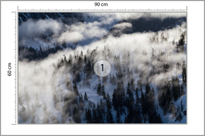 Fototapeta Las We Mgle Zimą Z Lotu Ptaka 90 × 60 cm – podgląd kadru