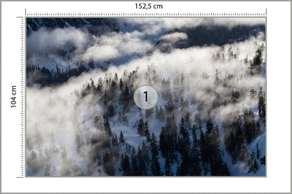 Fototapeta Las We Mgle Zimą Z Lotu Ptaka 152,5 × 104 cm – podgląd kadru