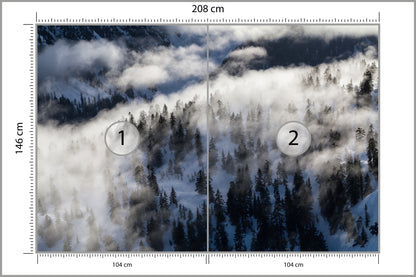 Fototapeta Las We Mgle Zimą Z Lotu Ptaka 208 × 146 cm – podgląd kadru
