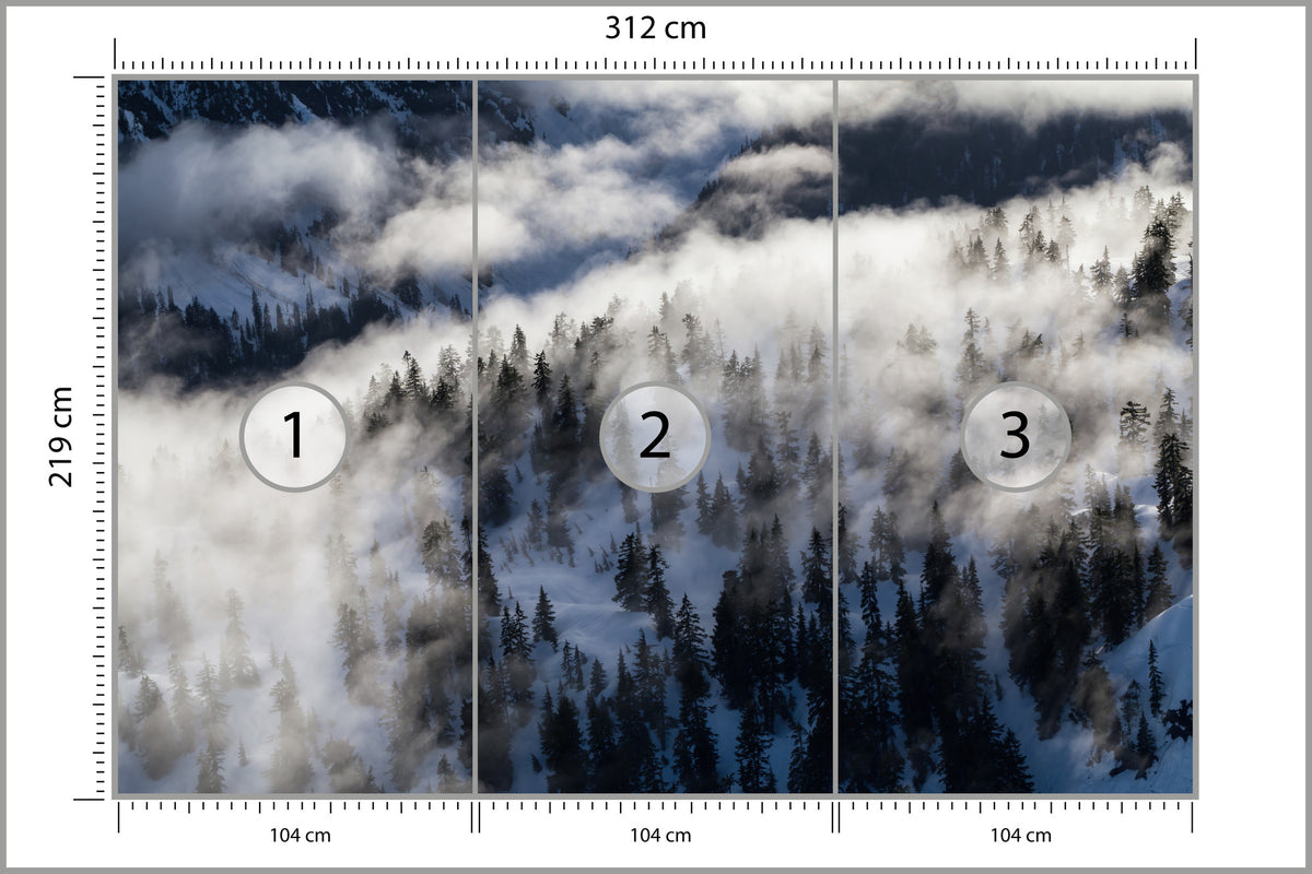 Fototapeta Las We Mgle Zimą Z Lotu Ptaka 312 × 219 cm – podgląd kadru