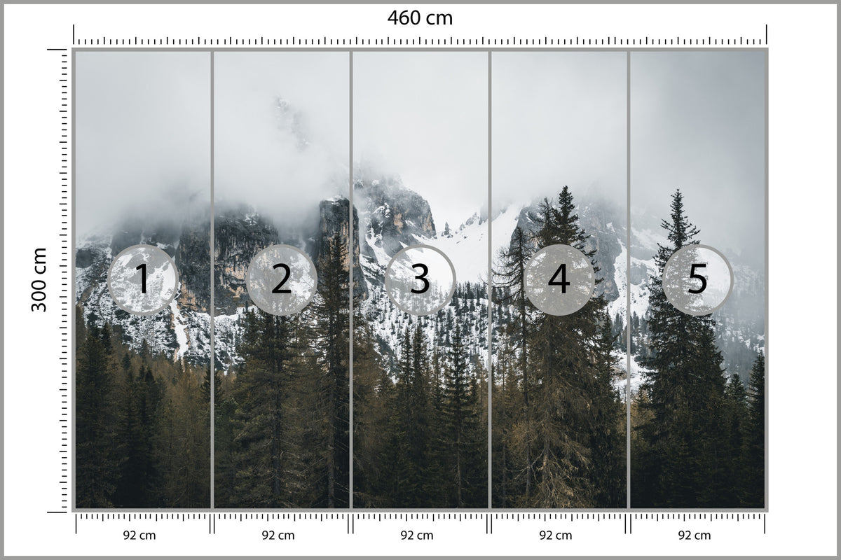 Fototapeta Las We Mgle Pod Ośnieżoną Górą 460 × 300 cm – podgląd kadru