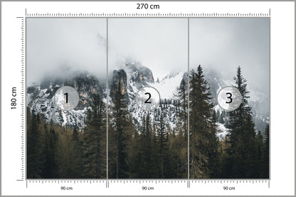 Fototapeta Las We Mgle Pod Ośnieżoną Górą 270 × 180 cm – podgląd kadru