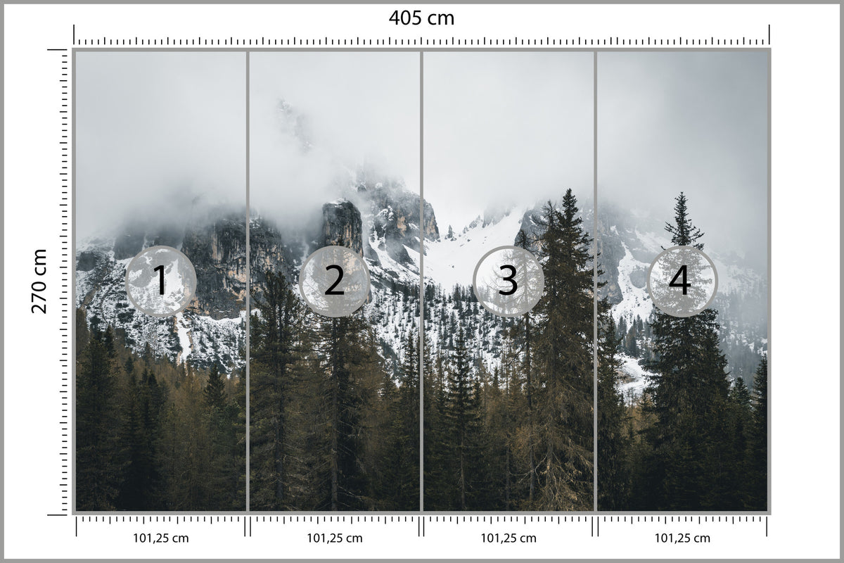 Fototapeta Las We Mgle Pod Ośnieżoną Górą 405 × 270 cm – podgląd kadru