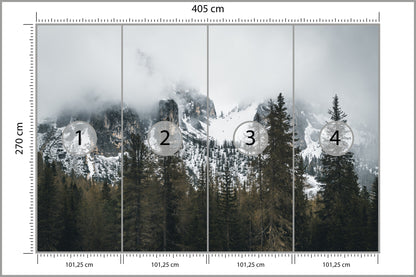 Fototapeta Las We Mgle Pod Ośnieżoną Górą 405 × 270 cm – podgląd kadru