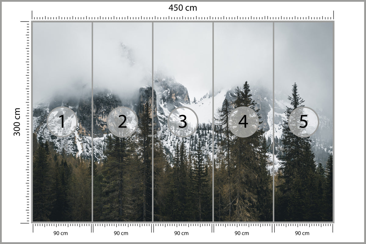 Fototapeta Las We Mgle Pod Ośnieżoną Górą 450 × 300 cm – podgląd kadru