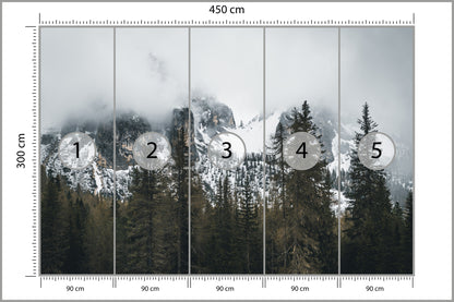 Fototapeta Las We Mgle Pod Ośnieżoną Górą 450 × 300 cm – podgląd kadru