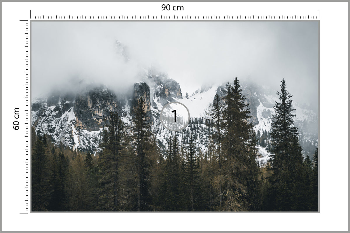 Fototapeta Las We Mgle Pod Ośnieżoną Górą 90 × 60 cm – podgląd kadru