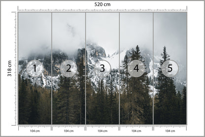 Fototapeta Las We Mgle Pod Ośnieżoną Górą 520 × 318 cm – podgląd kadru