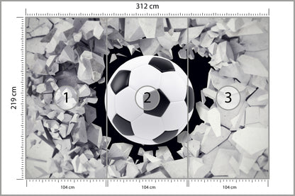 Fototapeta Piłka Nożna, Pokój Młodzieżowy 312 × 219 cm – podgląd kadru
