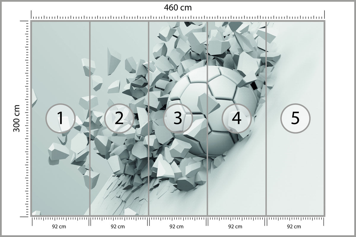 Fototapeta 3D Sportowa Piłka 460 × 300 cm – podgląd kadru