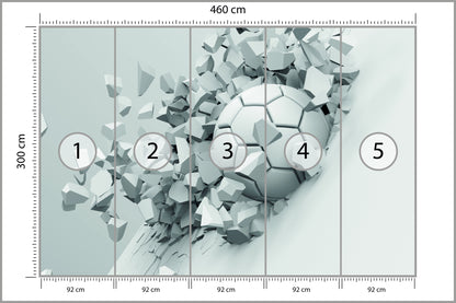 Fototapeta 3D Sportowa Piłka 460 × 300 cm – podgląd kadru
