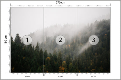 Fototapeta Las We Mgle Na Ciemnym Zboczu 270 × 180 cm – podgląd kadru