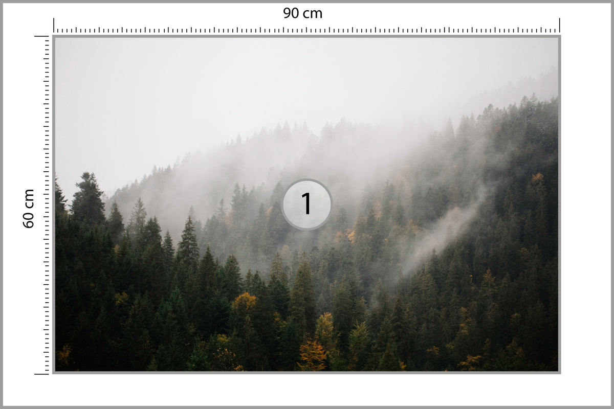 Fototapeta Las We Mgle Na Ciemnym Zboczu 90 × 60 cm – podgląd kadru