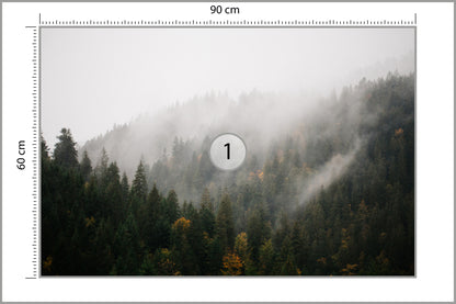 Fototapeta Las We Mgle Na Ciemnym Zboczu 90 × 60 cm – podgląd kadru