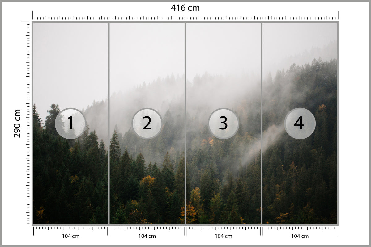 Fototapeta Las We Mgle Na Ciemnym Zboczu 416 × 290 cm – podgląd kadru